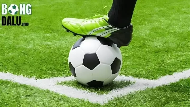 Phân tích và thống kê lại những thông tin cần thiết 