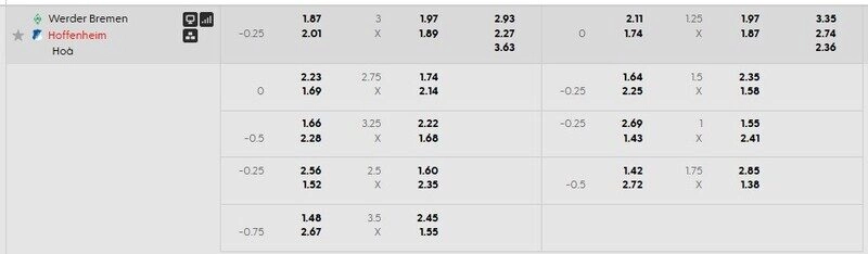 Bảng tỷ lệ kèo Werder Bremen vs Hoffenheim